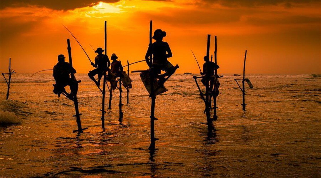 Stilt Fishing Koggala - An Iconic Image of Culture 