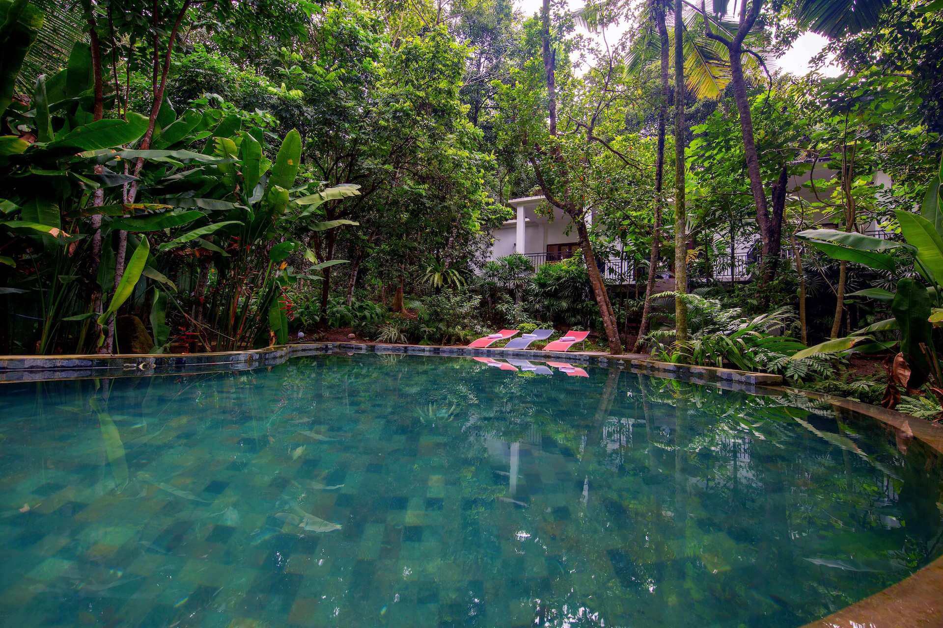 wild_nest_villa_02.jpg