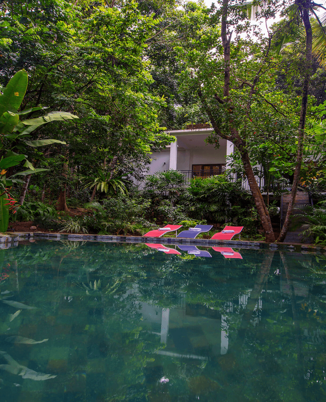 Wild Nest Villa : modern villa with a pool in Talpe, Unawatuna, Galle Sri Lanka
